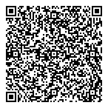papition papition_rtdzm